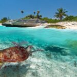 Visita el Gran Cañón de México, un lugar mágico e inspirador »