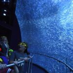 CELEBRITY CRUISES REVELA EL NOMBRE DEL PRÓXIMO BARCO DE LA SERIE EDGE »